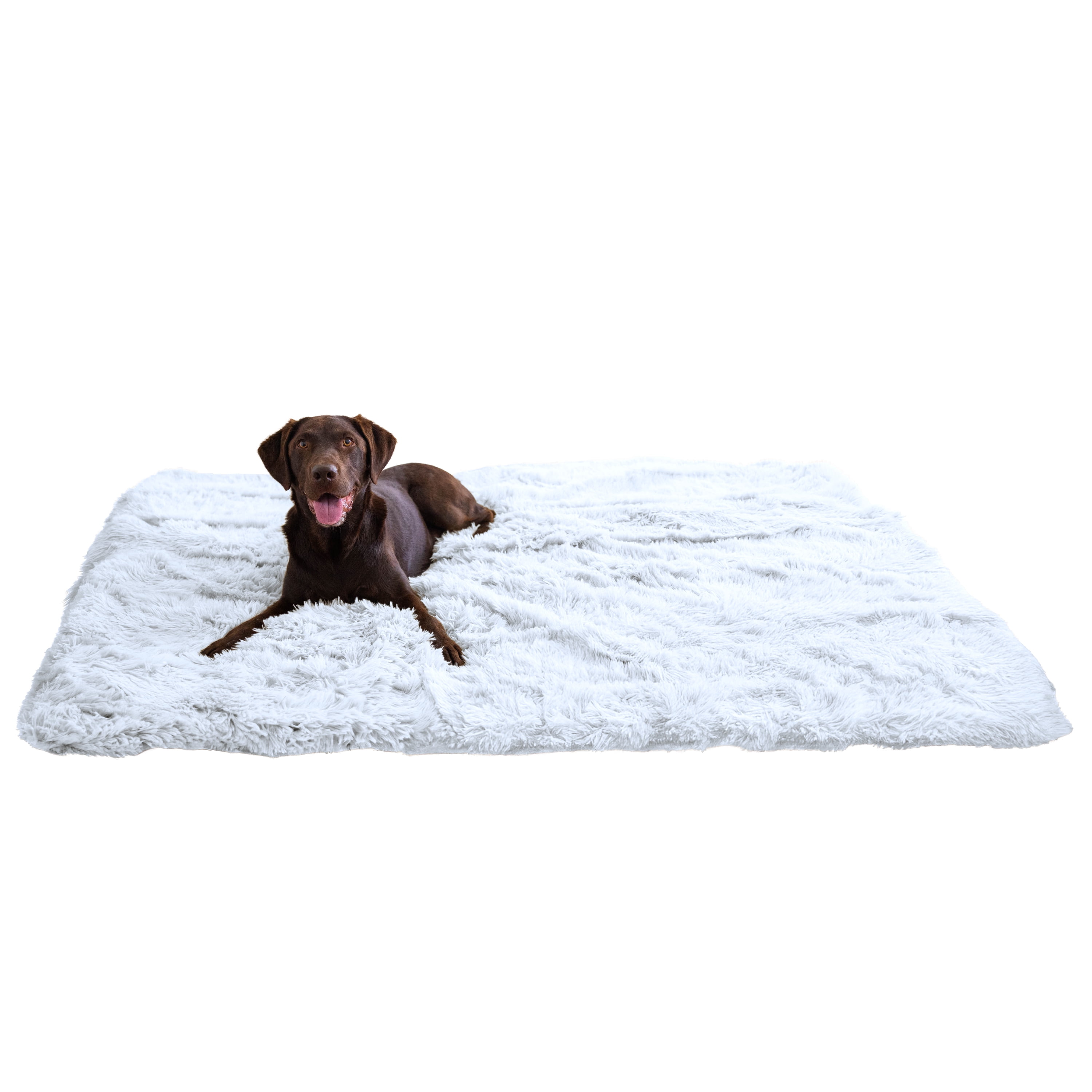 Best Friends by Sheri Calming Shag Cat and Dog Blanket with Non-Skid, Water Resistant Base, Machine Washable, Frost Gray, 60" x 80"