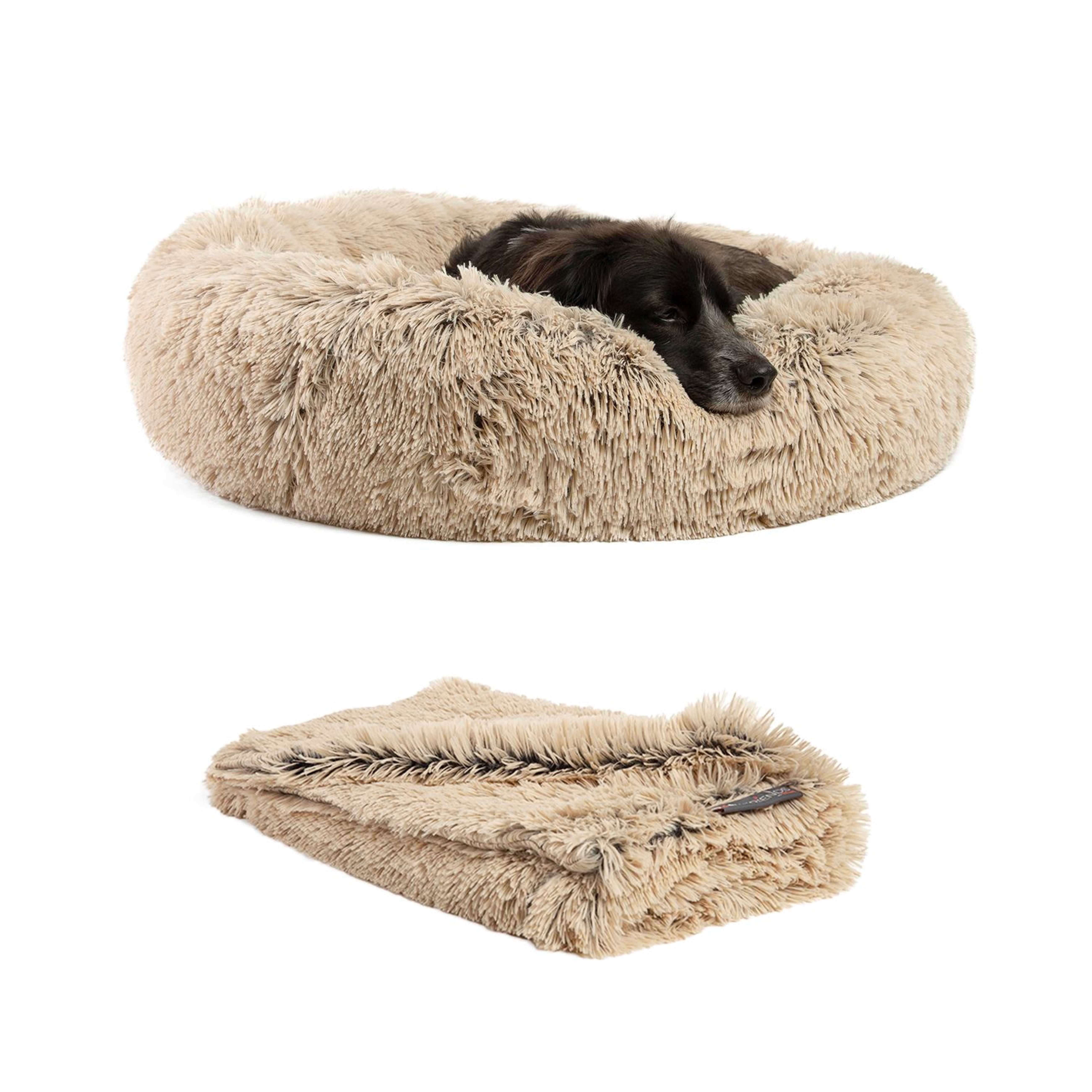 Medium Orthopedic Elevated Donut Dog Bed with Blanket