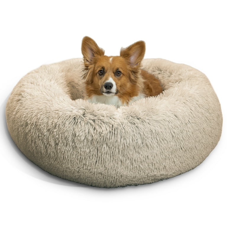 What Cat Calmers are Best for Anxiety: Top Picks