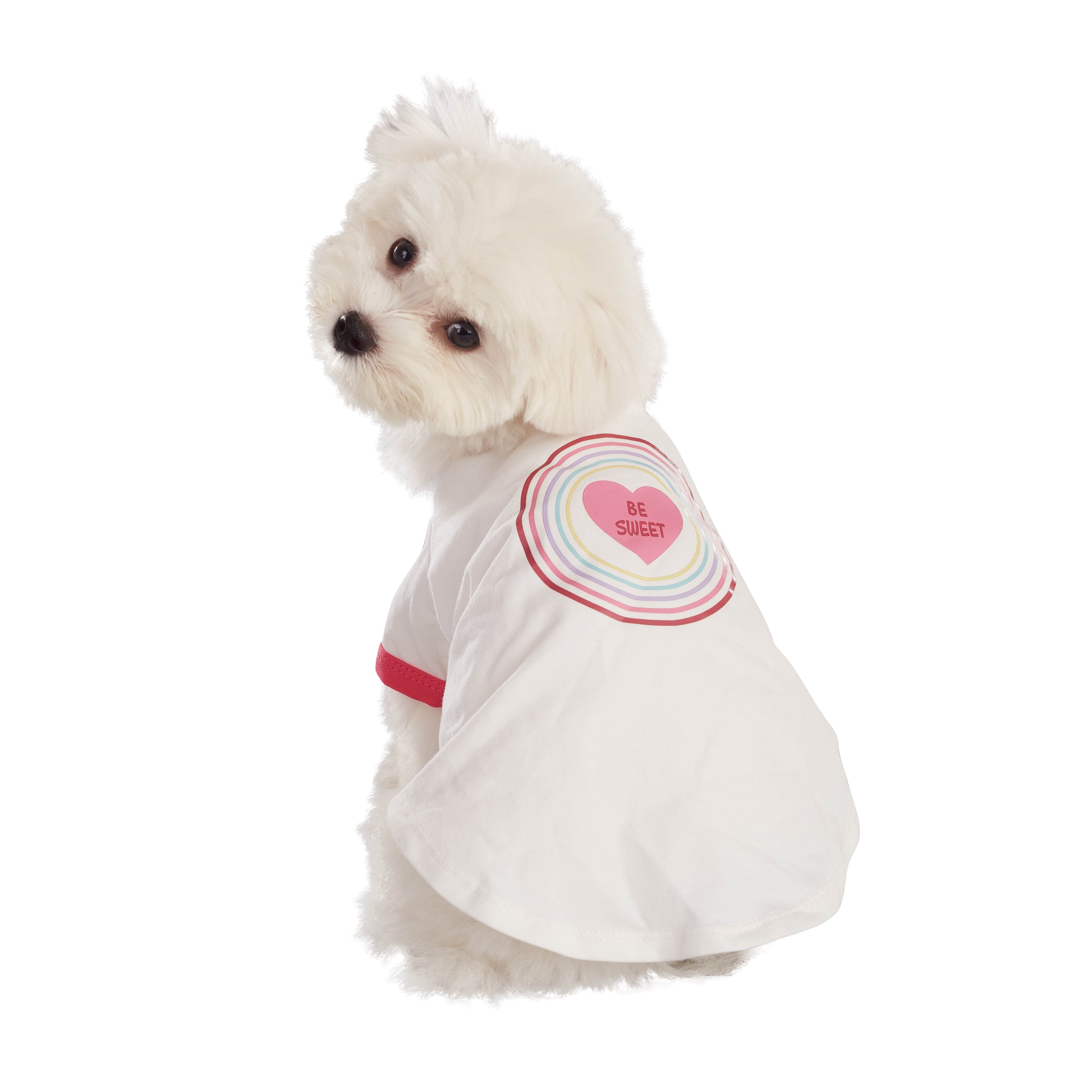Best Furry Friends T-Shirt for Dogs or Cats, Be Sweet, X-Small
