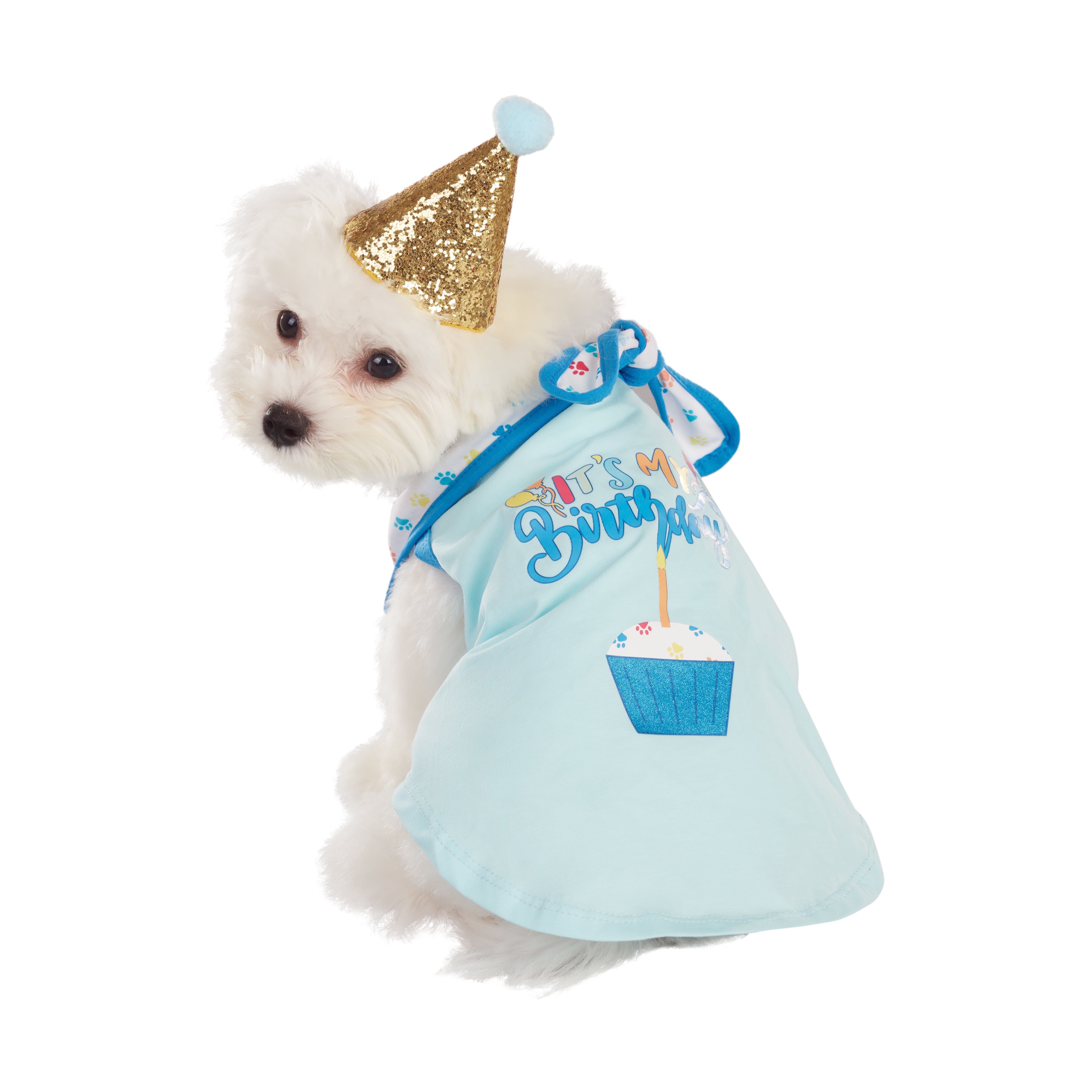Best Furry Friends Birthday Party Set for Dogs or Cats (set of 4), Blue, Small