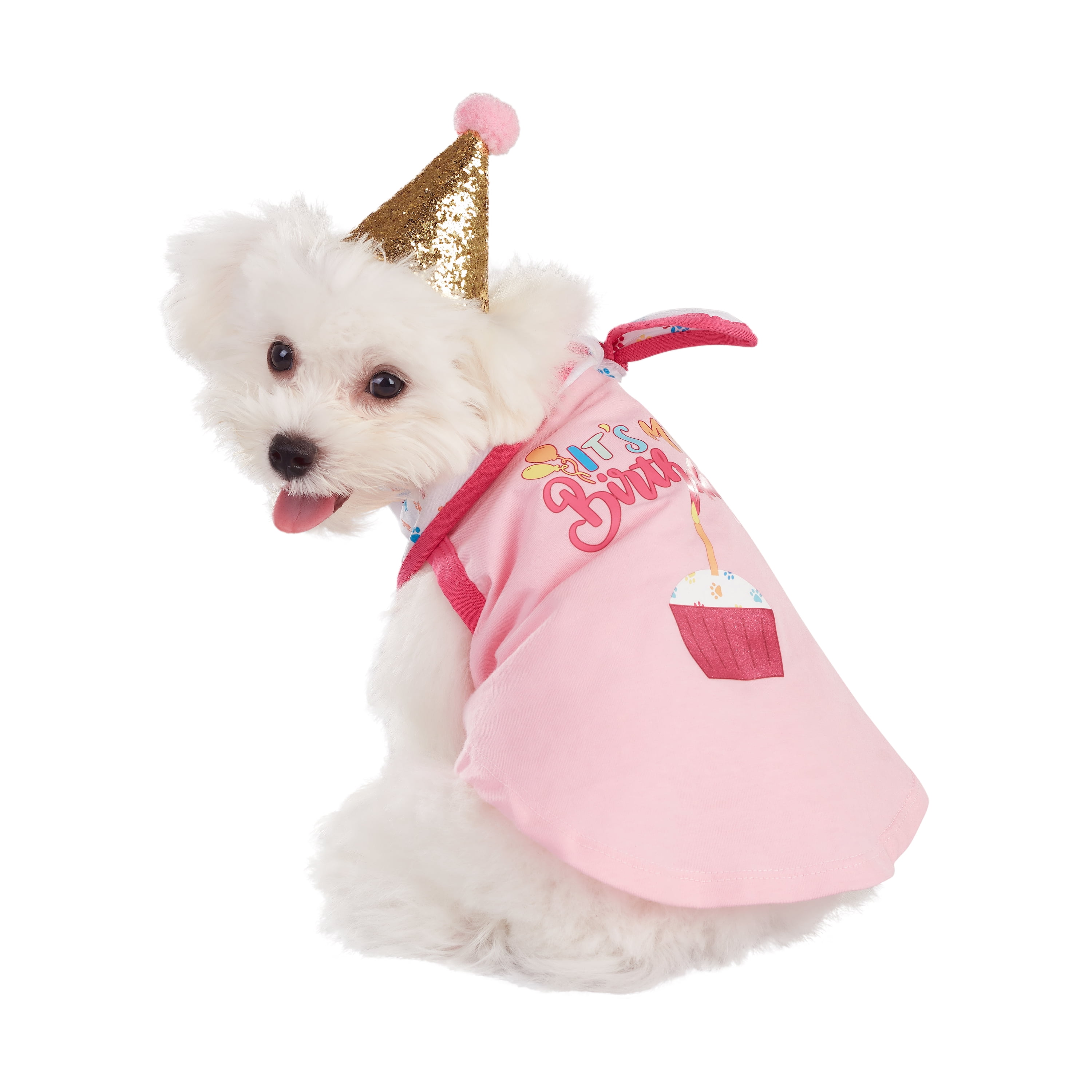 Best Furry Friends Birthday Party Set for Dogs or Cats (set of 4), Pink, X-Small