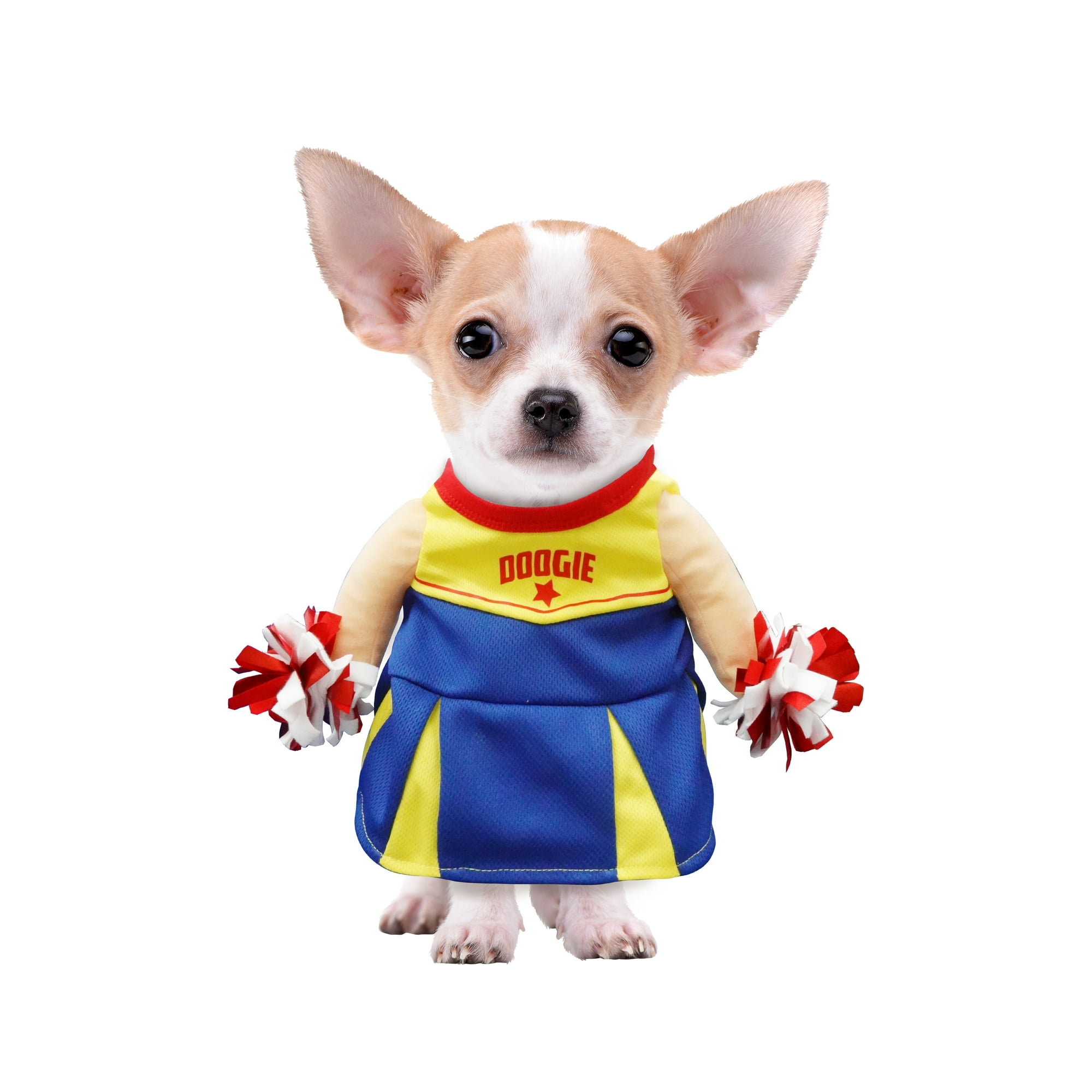 A dog in a cheerleader costume