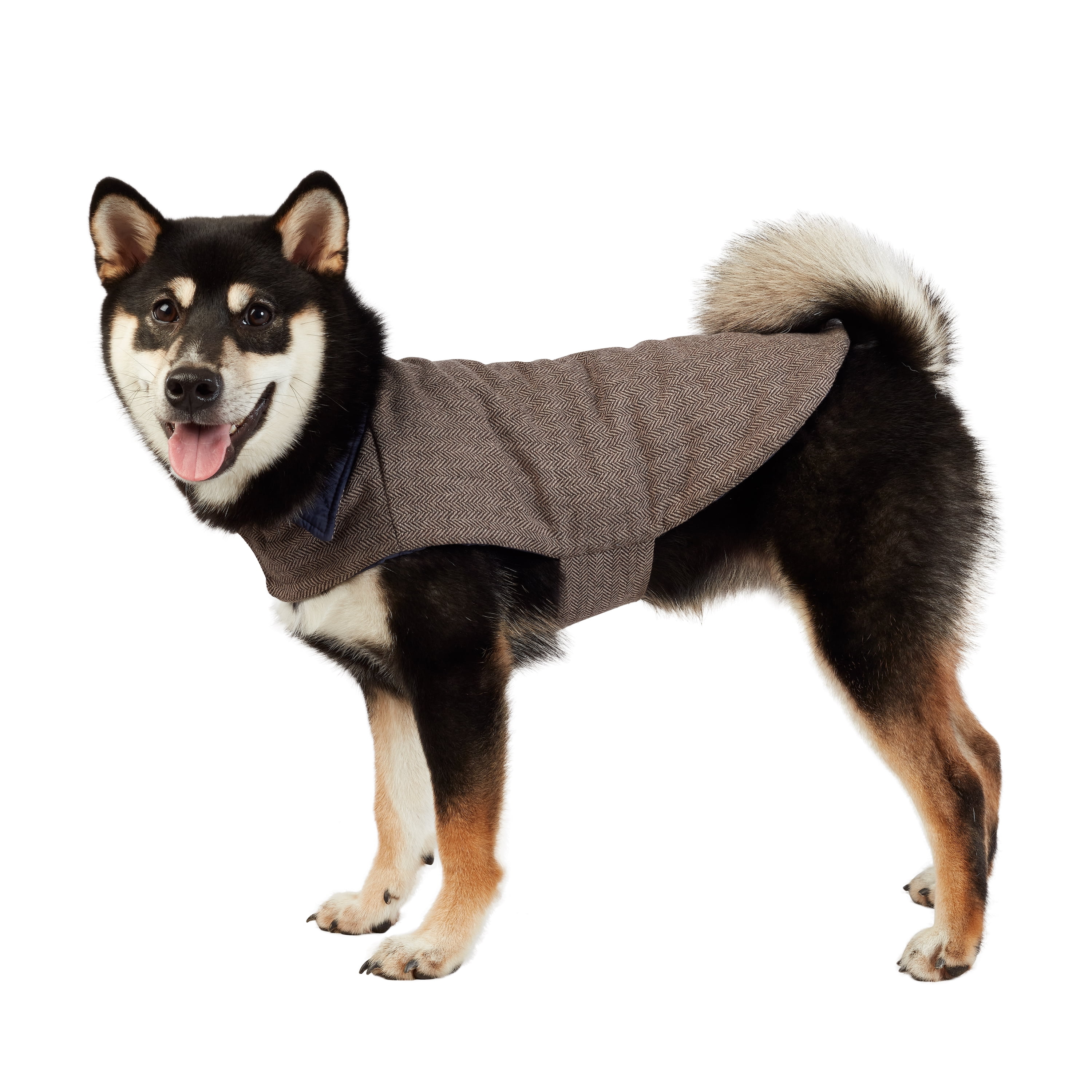Best Furry Friends Jacket for Dogs or Cats, Chevron, Small