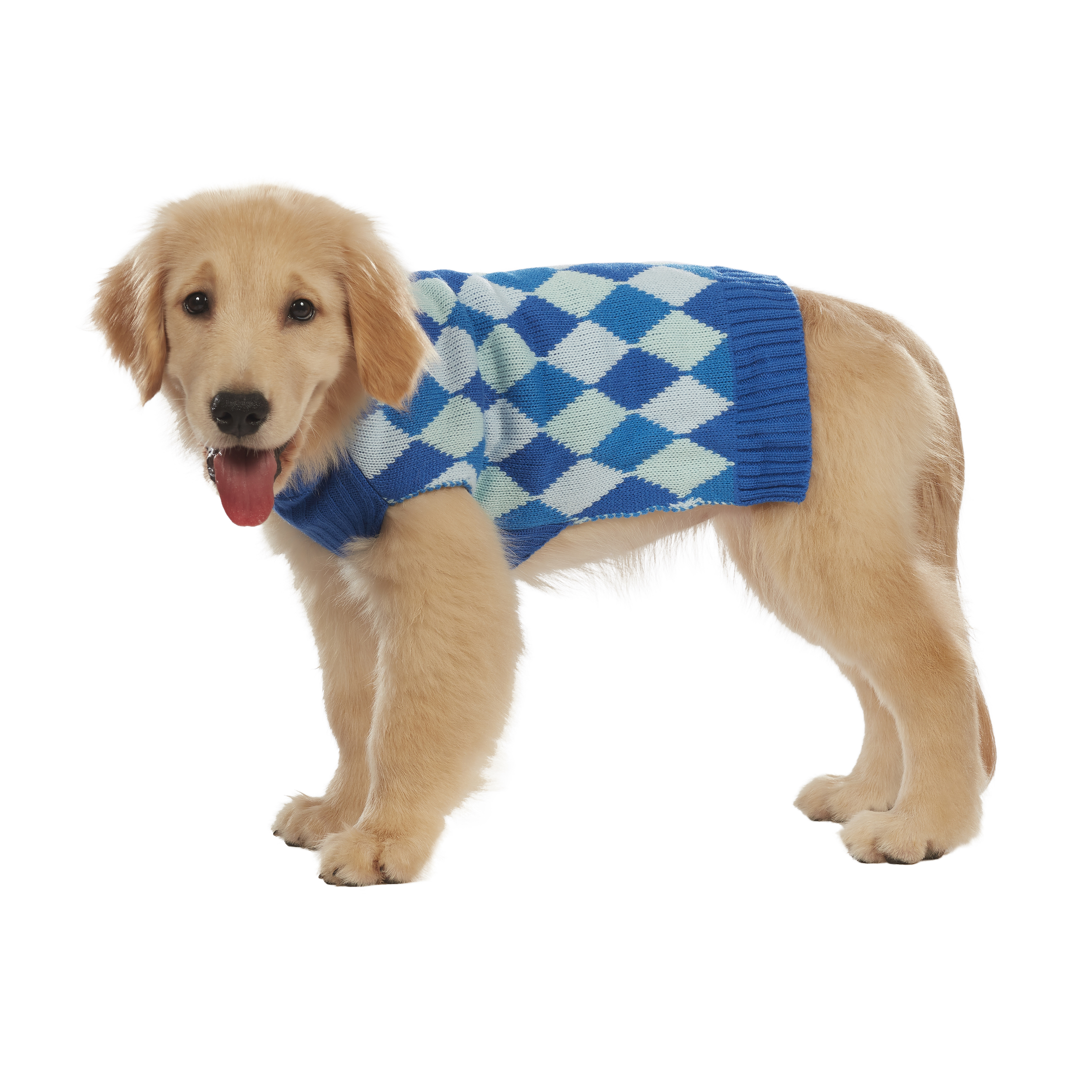Best Furry Friends Sweater for Cats or Dogs, Hanukkah, X-Small