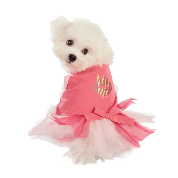 Best Furry Friends Dress for Dogs or Cats, Kiss Me, Small