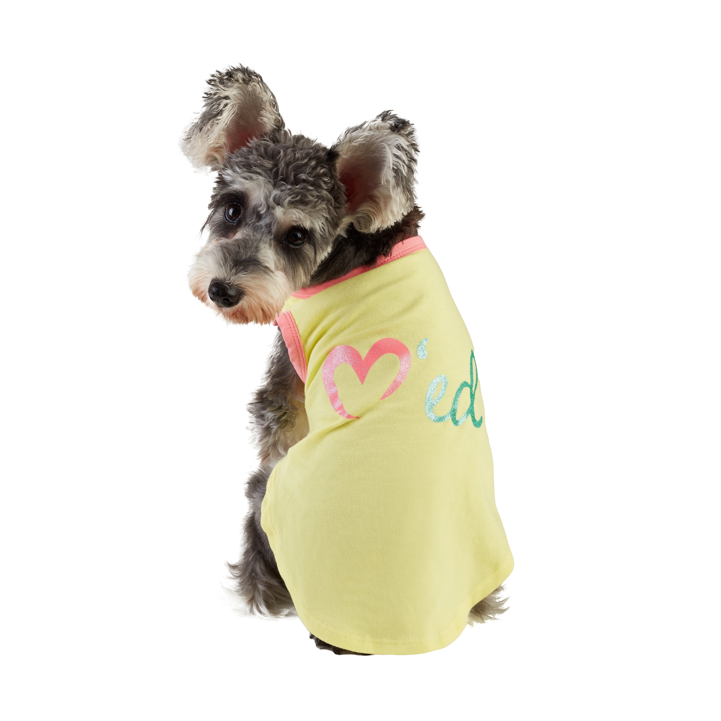 Best Furry Friends T-Shirt for Dogs or Cats, Loved, Small