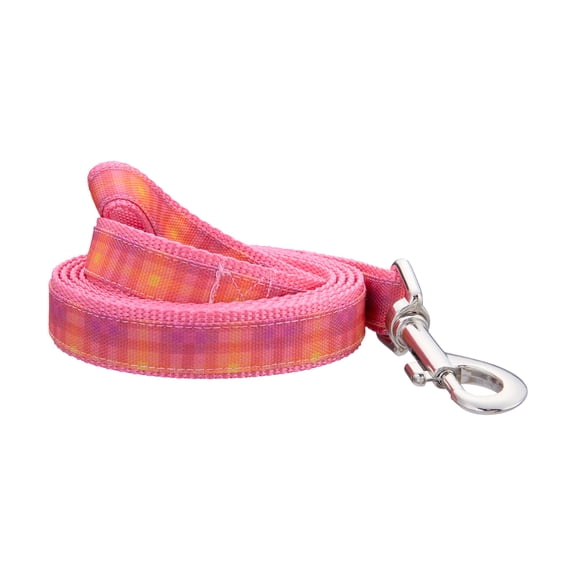 Best Furry Friends Leash for Dogs or Cats, Pink Ombre Graphic, Large/X-Large