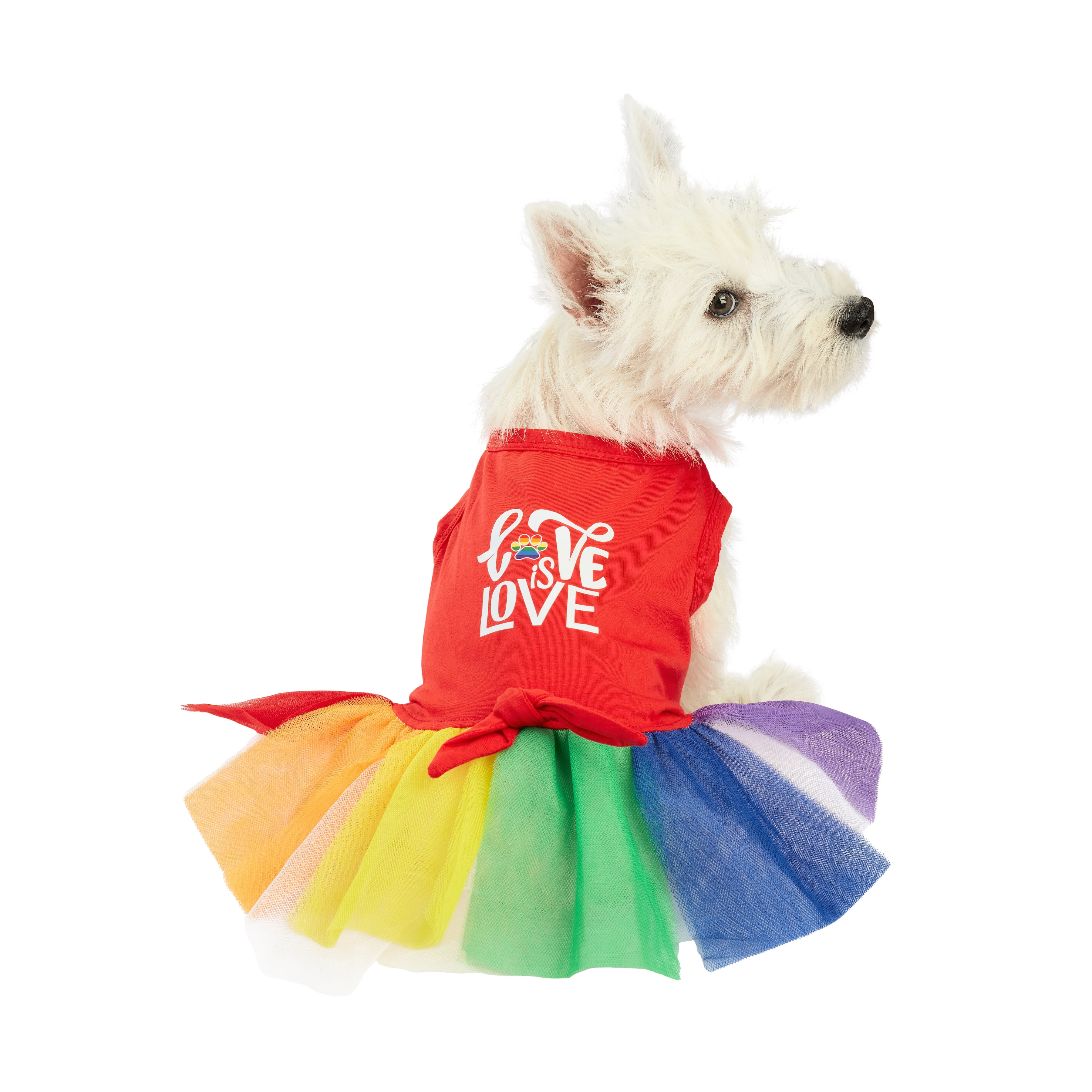 Best Furry Friends Dress for Dogs or Cats, Pride Love, Medium