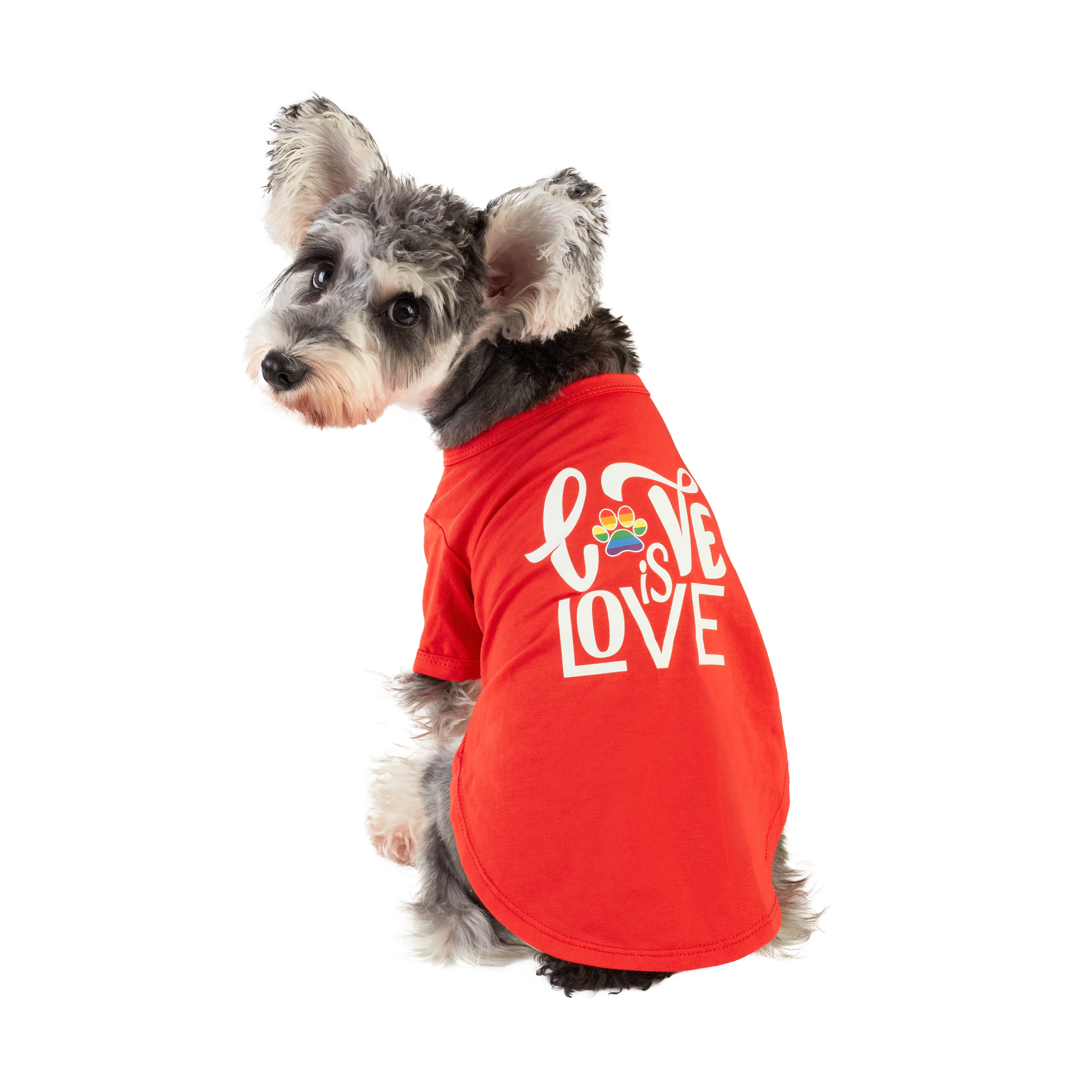 Best Furry Friends Dog and Cat Clothing: Pride Love T-Shirt XS