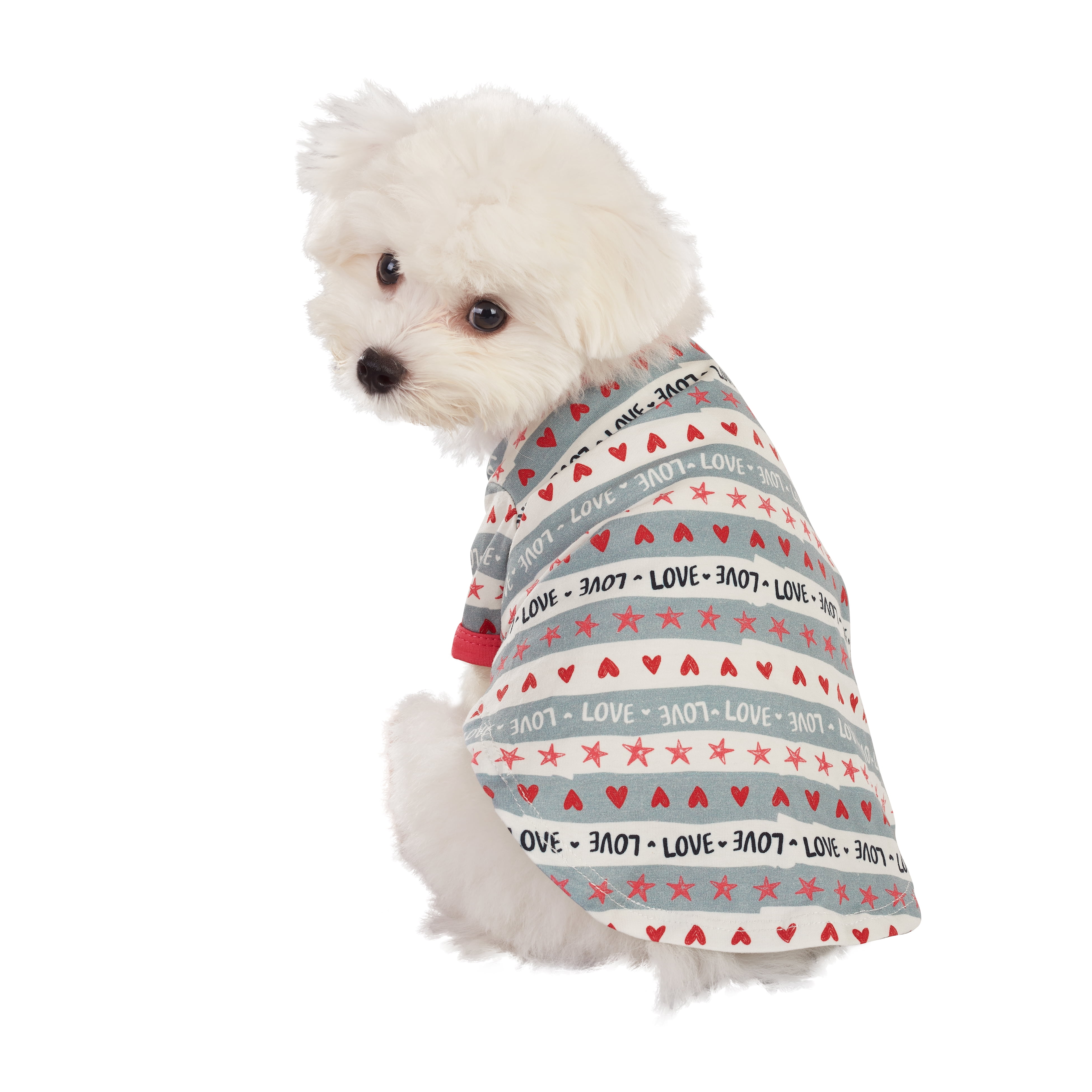 Best Furry Friends T-Shirt for Dogs or Cats, Valentine Print, Medium