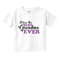 thumbnail image 1 of Best Grandma Ever Cute Nana Gram Youth T Shirt Tee Girls Infant Toddler Brisco Brands 24M, 1 of 5