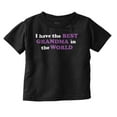 thumbnail image 1 of Best Grandma In World Cute Grandchild Toddler Boy Girl T Shirt Infant Toddler Brisco Brands 6M, 1 of 6