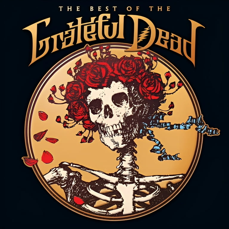 ドクロ 90's USA ヴィンテージ w.u.i gratefuldead Vintage 90's GRATEFUL DEAD Single Stitch Band Tshirt