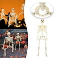 Hot Sale Halloween Skeleton Decoration Full Body Posable Skeleton