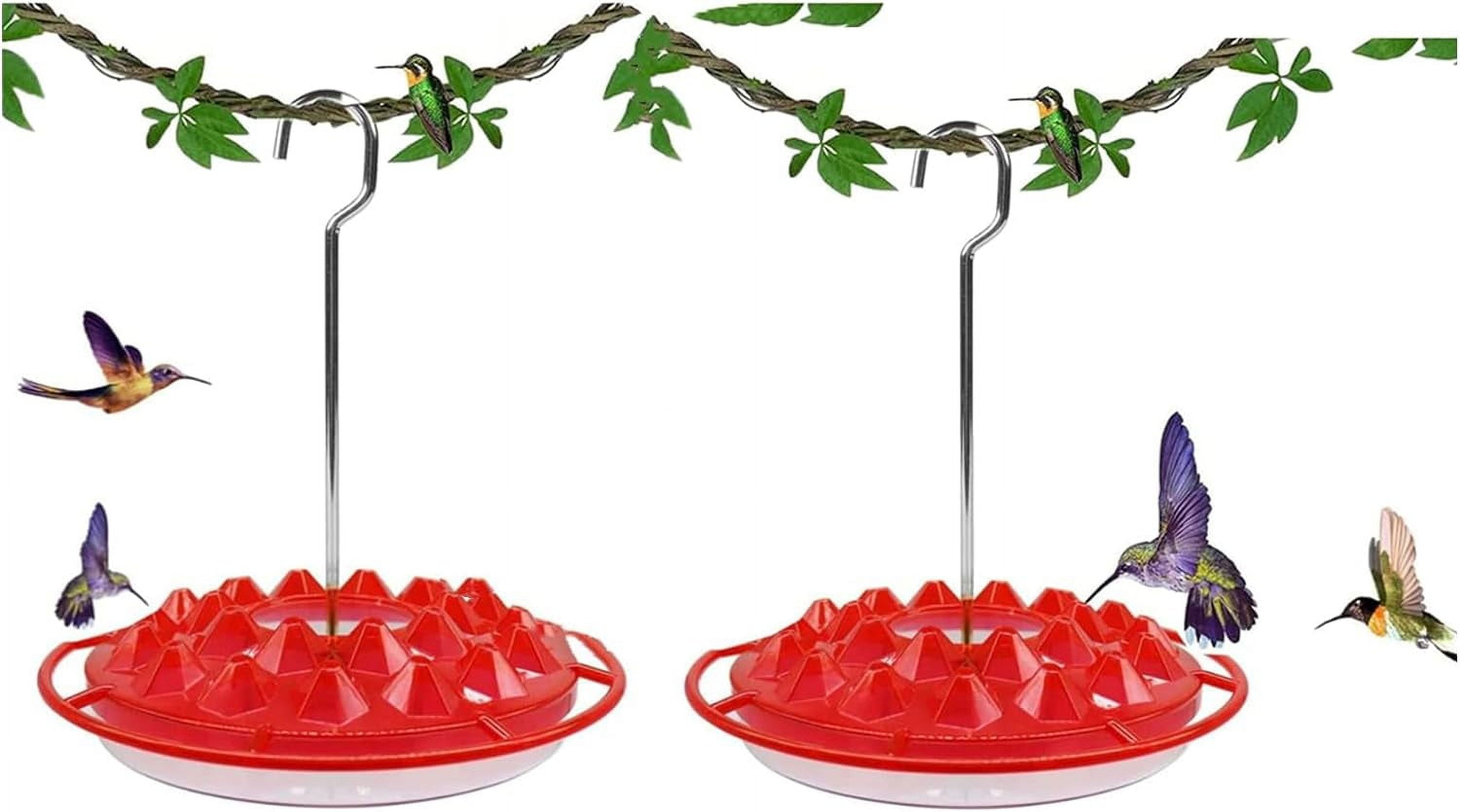 Best Hummingbird Feeders for Outdoors Hanging, Easy Clean Fill Wasp