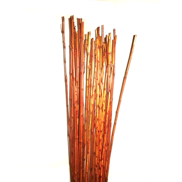 Best Linen Natural Thin 5 ft Tall Bamboo Garden Stakes with Easy Resize Feature (20 Pack)