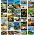 Best Paper Greetings 40 Pack Bulk Animal and Travel Postcards From