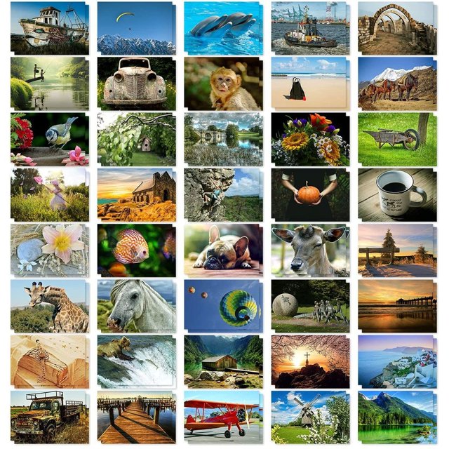 Best Paper Greetings 40 Pack Bulk Animal and Travel Postcards From