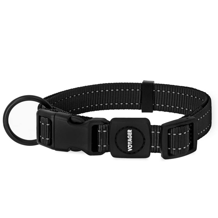 Best reflective dog collar hotsell