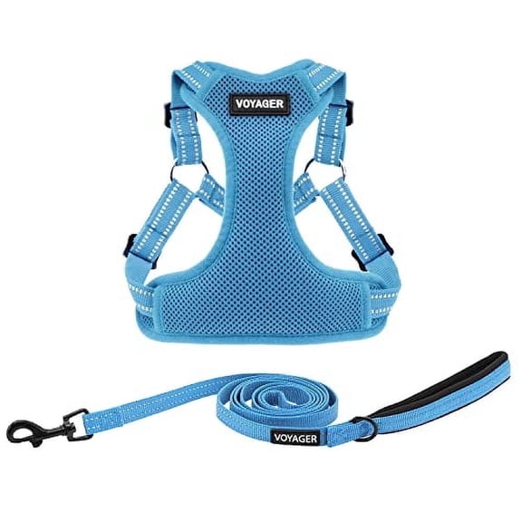 Best Pet Supplies Voyager Adjustable Dog Harness Leash Set with Reflective Stripes for Walking Heavy-Duty Full Body No Pull Vest with Leash D-Ring, Breathable All-Weather - Harness (Baby Blue), S