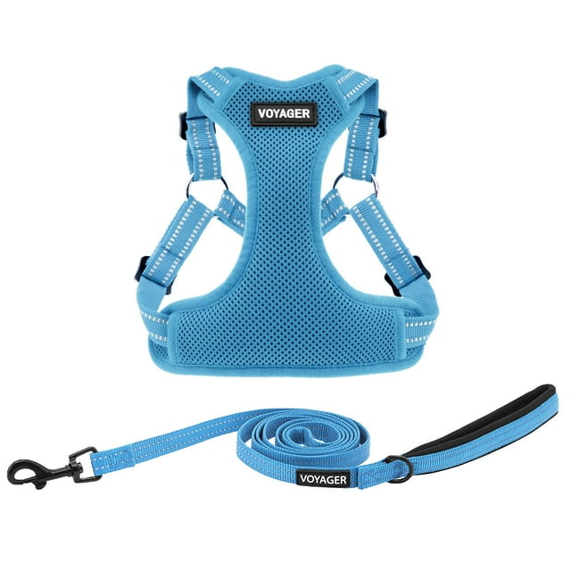 Best Pet Supplies Voyager Adjustable Dog Harness Leash Set with Reflective Stripes for Walking Heavy-Duty Full Body No Pull Vest with Leash D-Ring, Breathable All-Weather - Harness (Baby Blue), M