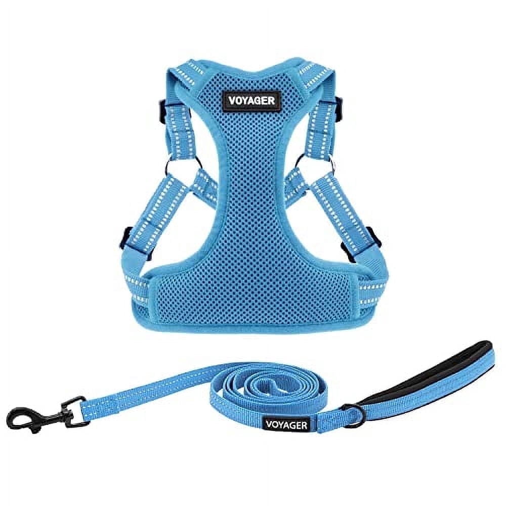 Best Pet Supplies Voyager Adjustable Dog Harness Leash Set with Reflective Stripes for Walking Heavy-Duty Full Body No Pull Vest with Leash D-Ring, Breathable All-Weather - Harness (Baby Blue), L