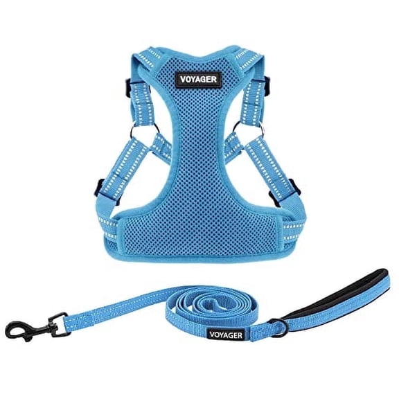 Best Pet Supplies Voyager Adjustable Dog Harness Leash Set with Reflective Stripes for Walking Heavy-Duty Full Body No Pull Vest with Leash D-Ring, Breathable All-Weather - Harness (Baby Blue), L