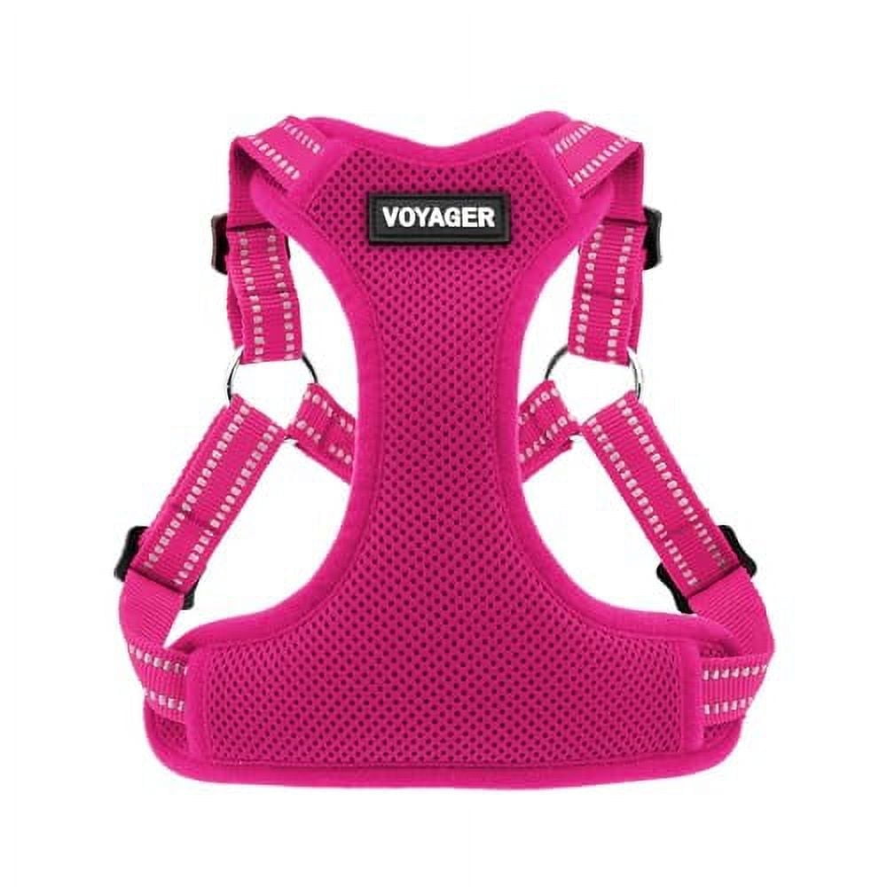 Best Dog Jogging Harness With Reflective Strips