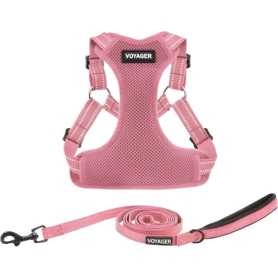 Best Pet Supplies Voyager Step-In Flex Adjustable Mesh Dog Harness