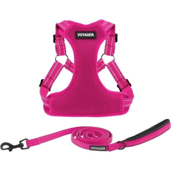Best Pet Supplies Voyager Step-In Flex Adjustable Mesh Dog Harness