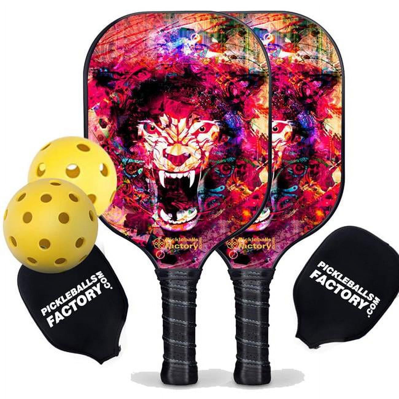Best Pickleball Set - Pickleballtournament Paddle, Carbonfiber Graphite