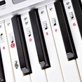 Best Reusable Piano Key and Note Keyboard Stickers for Adults