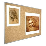 Best Rite E301AH 4 x 8 VT Logic Cork Board - Aluminum Trim