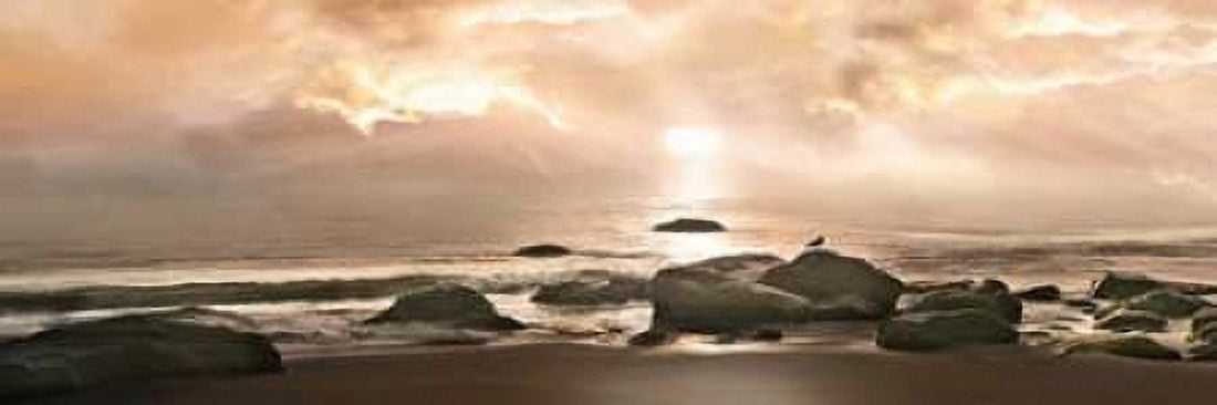 Best Seat In Canvas Art - Mike Calascibetta (12 x 36)
