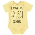 thumbnail image 1 of Best Sister Sibling Love Family Romper Boys or Girls Infant Baby Brisco Brands 12M, 1 of 6