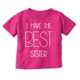 thumbnail image 1 of Best Sister Sibling Love Family Toddler Boy Girl T Shirt Infant Toddler Brisco Brands 5T, 1 of 5