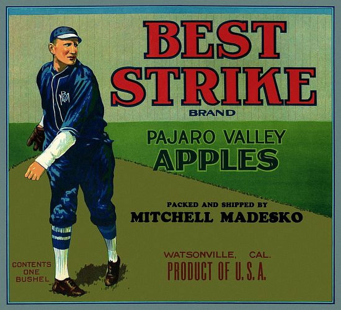 Best Strike Baseball Player Apples Canvas Art - (36 x 54)