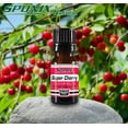 thumbnail image 1 of Best Super Cherry Fragrance Oil - Top Scented Perfume Oil - Premium Grade - 10 mL by Sponix, 1 of 8