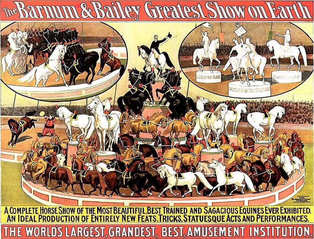 Best Trained Sagacious Equines Circus Canvas Art -  (18 x 24)