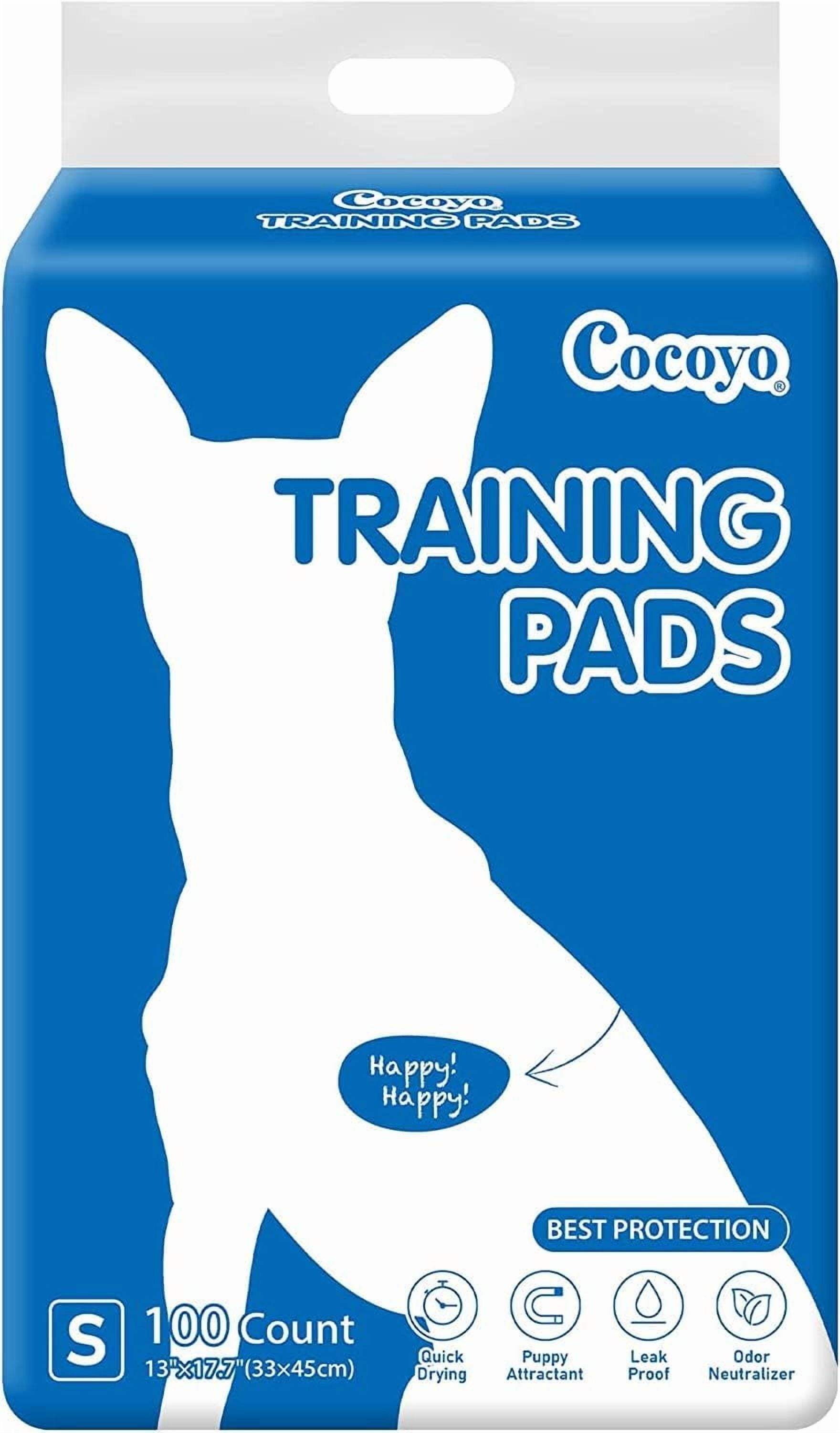nobrand Best Value Training Pads 100 Count 13“ by 17.7”| Dog Pee Pads | Super Absorbent Puppy Pads,Blue