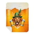 thumbnail image 1 of Best Vizsla Dad Proud Beer Lover Happy Oktoberfest Cozy Sherpa Blanket Vizslas Dog Lover Gifts Idea Warm Soft Throw Blanket - 02016, 1 of 5