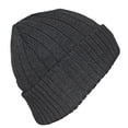 thumbnail image 1 of Best Winter Hats Adult Rib Knit Cuffed Beanie W/Soft Plush Lining - Gray, 1 of 4