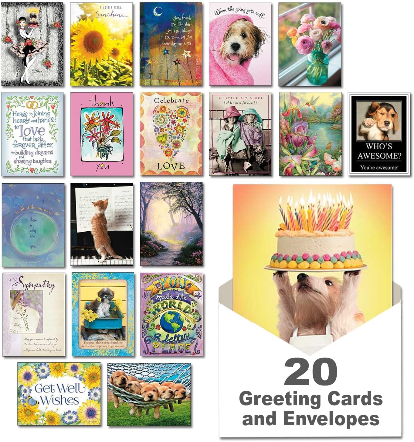 Best Wishes, 20 All Occasion Cards Assortment Box with Envelopes ...