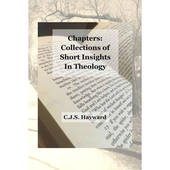 Best Works: Chapters : Collections of Short Insights in Theology (Series #23) (Paperback)