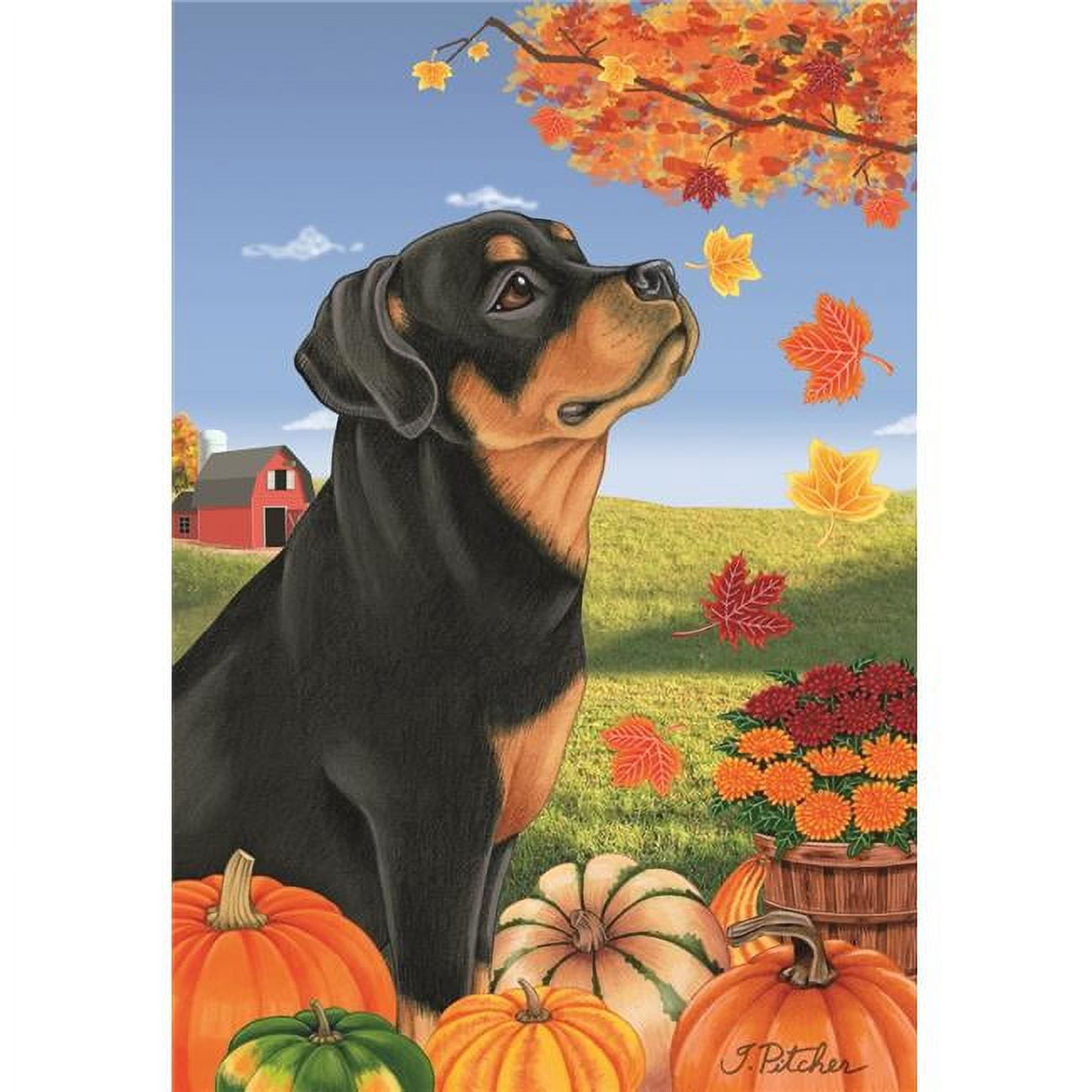Hello Fall Scene Rottweiler Best of Breed TP67002 Rottweiler Autumn Leaves House Flag - Walmart.com