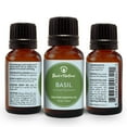 thumbnail image 1 of Best of Nature 100% Pure Sweet Basil Essential Oil, 1 of 3