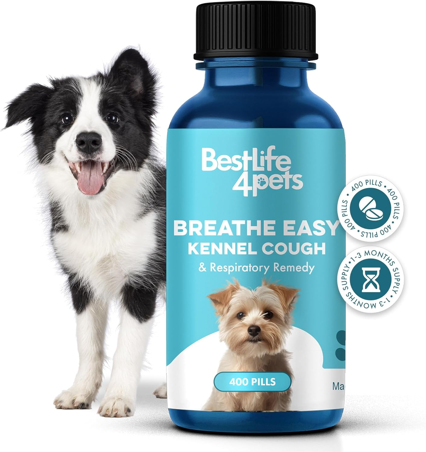 Cold Med For Dogs