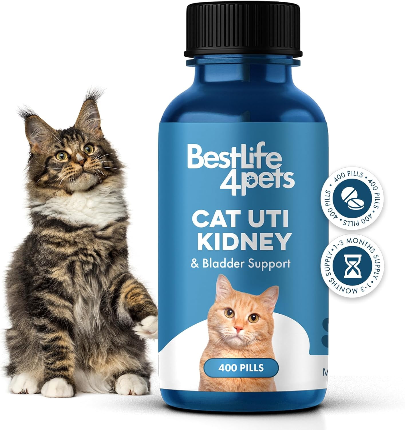Picture of Cat Renal Diet