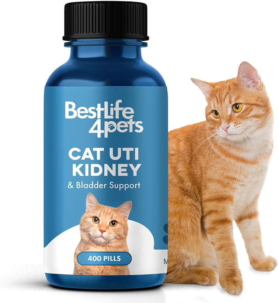 BestLife4Pets, Cat UTI, Kidney & Bladder Support All Natural Medicine